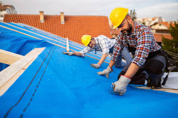Roof Gutter Cleaning in Villas, FL