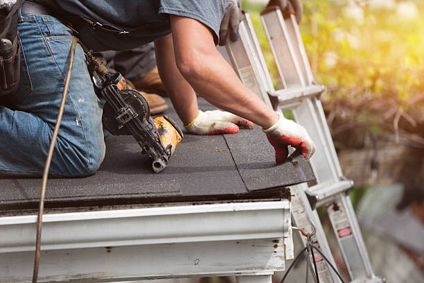 Best Roof Gutter Cleaning  in Villas, FL