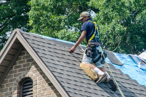 Best Local Roofing Companies  in Villas, FL